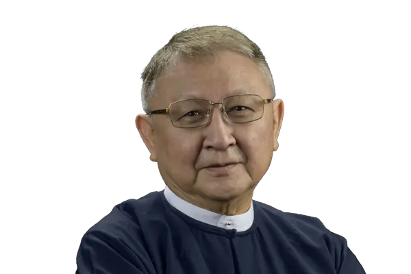 First Myanmar Investment Public Company Limited FMI Board of Directors U Than Aung