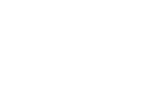 SPA Myanmar Logo