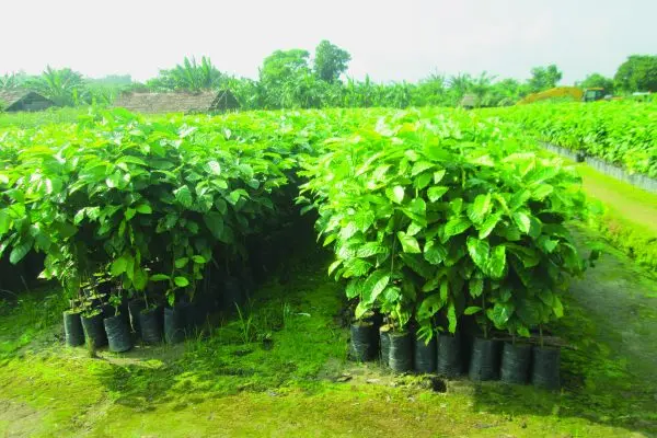 First Myanmar Investment Public Company Limited FMI Strategic Investments