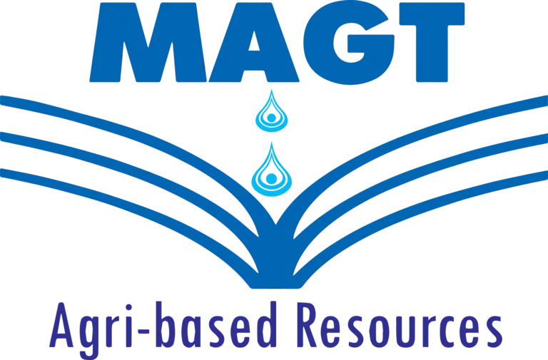 First Myanmar Investment Public Company Limited FMI Strategic Investments MAGT