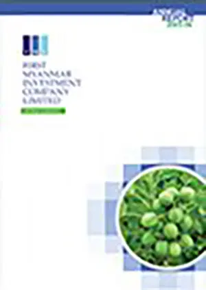 First Myanmar Investment Public Company Limited FMI Annual Reports