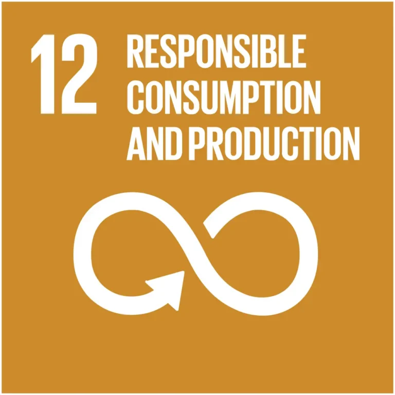 First Myanmar Investment Public Company Limited FMI Sustainability Development Goals (SDGs)