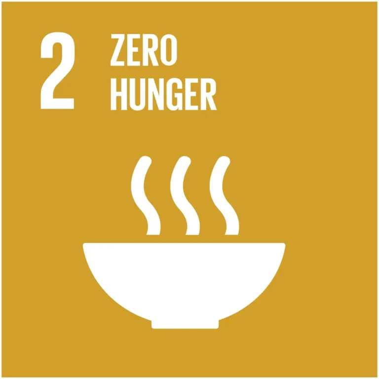 First Myanmar Investment Public Company Limited FMI Sustainability Development Goals (SDGs)
