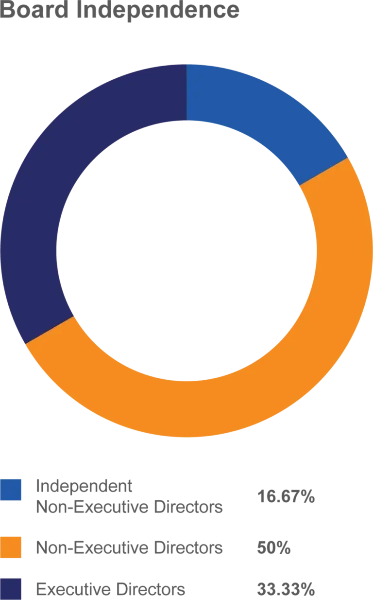 FMI Assessment of Independence of Individual Directors