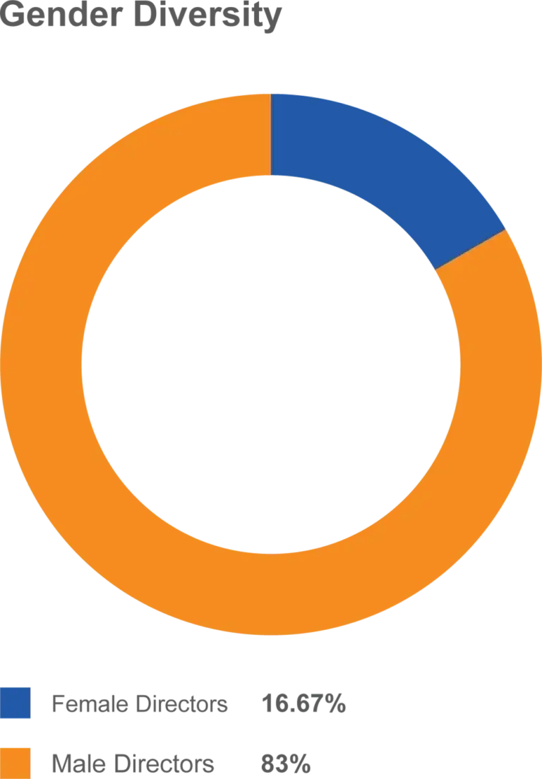 FMI Assessment of Independence of Individual Directors